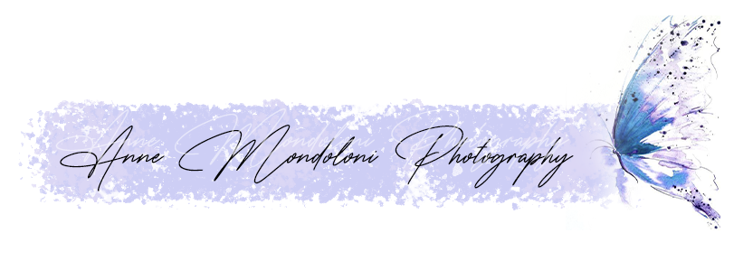 Anne Mondoloni Photographie – photographe de mariage, grossesse, nouveau né, famille Langon, Gironde, Aquitaine, France, destination, Provence, chateaux